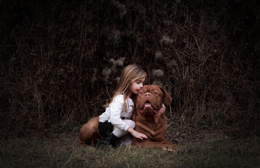 Dogue de Bordeaux et une petite fille Photographe portraitiste
